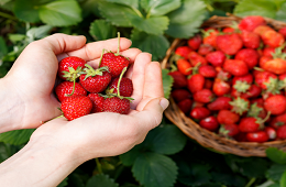 24D23N-Miracle Main North Package: Cultural Legacy & Wonder