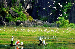Ninh Binh Ultimate 3D2N – Heritage, Wonders & Culture
