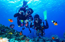 Dive into Paradise: Explore Nha Trang Underwater World