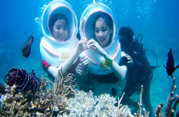 Nha Trang Parasailing: Soar Above Paradise