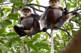 Ninh Binh 2D1N: Wonders, Heritage & Eco Private Tour