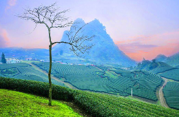 24D23N-Miracle Main North Package: Cultural Legacy & Wonder