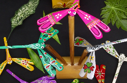 Hanoi’s Ancient Treasures-Sacred Pagodas & Dragonfly Village