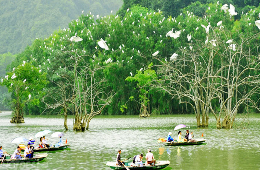 Ninh Binh Ultimate 3D2N – Heritage, Wonders & Culture