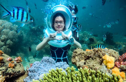 Quy Nhon Tour: Hon Kho Island & Ong Nui Pagoda Discovery