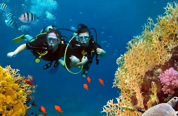 Quy Nhon Tour: Hon Kho Island & Ong Nui Pagoda Discovery