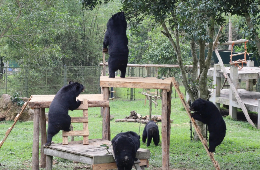 Romantic Day Trip to Tam Dao: A Private Mountain Paradise