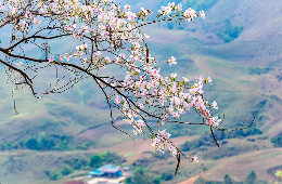 24D23N-Miracle Main North Package: Cultural Legacy & Wonder