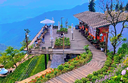 Romantic Day Trip to Tam Dao: A Private Mountain Paradise