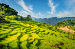 The Finest Blend: Private 4D3N- Ninh Binh & Pu Luong Tour