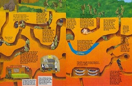 28D27N – Vietnam Perfect Full Package from North to South