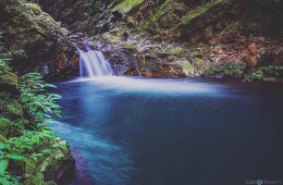 Bach Ma National Park: Vietnam’s Misty Mountain Retreat