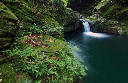 Bach Ma National Park: Vietnam’s Misty Mountain Retreat