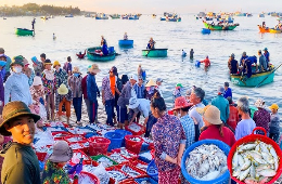 Quy Nhon Unveiled: Champa Kingdom & Authentic Local Life