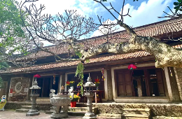 Hanoi’s Ancient Treasures-Sacred Pagodas & Dragonfly Village
