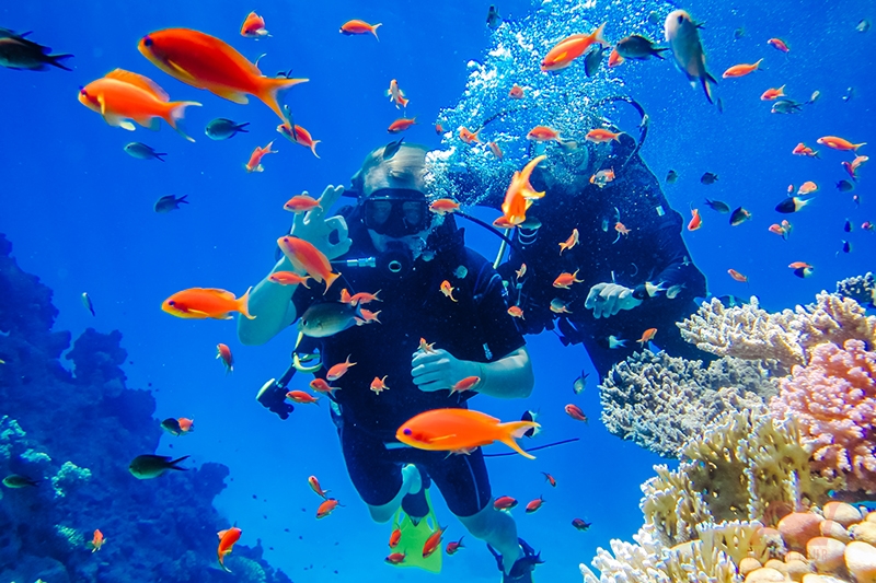 Dive into Paradise: Explore Nha Trang Underwater World