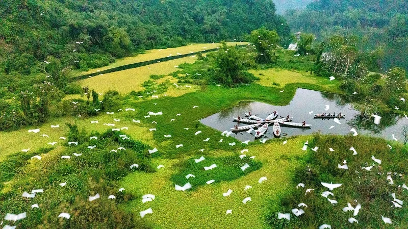 Ninh Binh Ultimate 3D2N – Heritage, Wonders & Culture