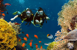 All-Inclusive Phu Quoc 3-Day Tour: Cable Car & Grand World