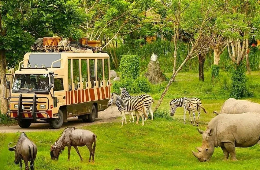 Phu Quoc Discovery: The Essential 2-Day Group Tour