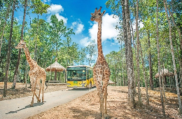 All-Inclusive Phu Quoc 3-Day Tour: Cable Car & Grand World