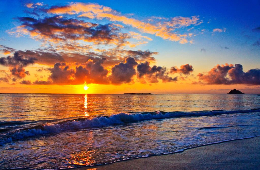 Night Squid Fishing & Sunset Cruise