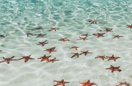 Phu Quoc Discovery: The Essential 2-Day Group Tour