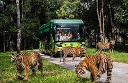 Phu Quoc Ultimate Gateway: The 4-Day Group Tour Package