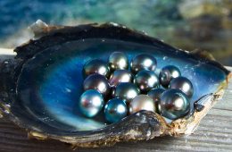 All-Inclusive Phu Quoc 3-Day Tour: Cable Car & Grand World