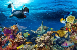 Phu Quoc Discovery: The Essential 2-Day Group Tour