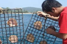 Discover Southern Phu Quoc: Culture & Heritage Tour