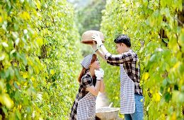 Discover Southern Phu Quoc: Culture & Heritage Tour